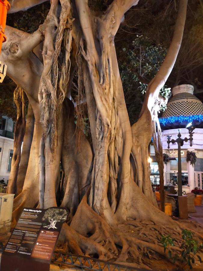 City Center Alicante - Cisneros Dış mekan fotoğraf